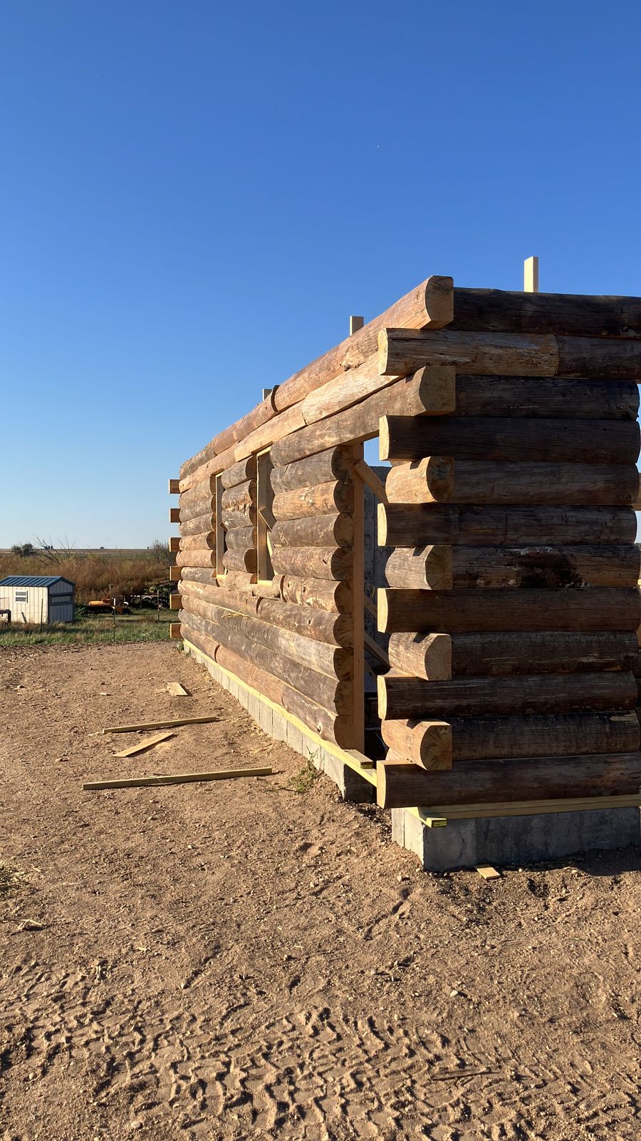 Log-sided cabin walls going up